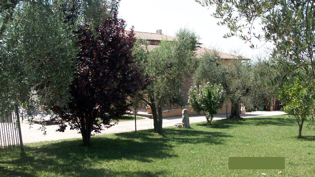 Il Giardino Degli Ulivi Bed and Breakfast Canneto  Eksteriør billede